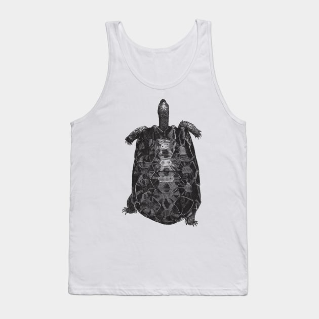 Tortoise Nature Drawing Tank Top by KnuckleTonic